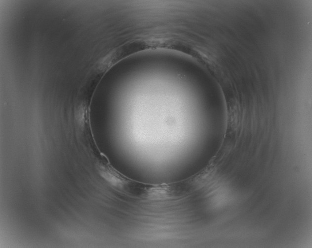 X0000062650574200512281650