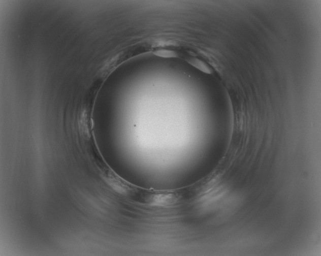 X0000062650575200512281650