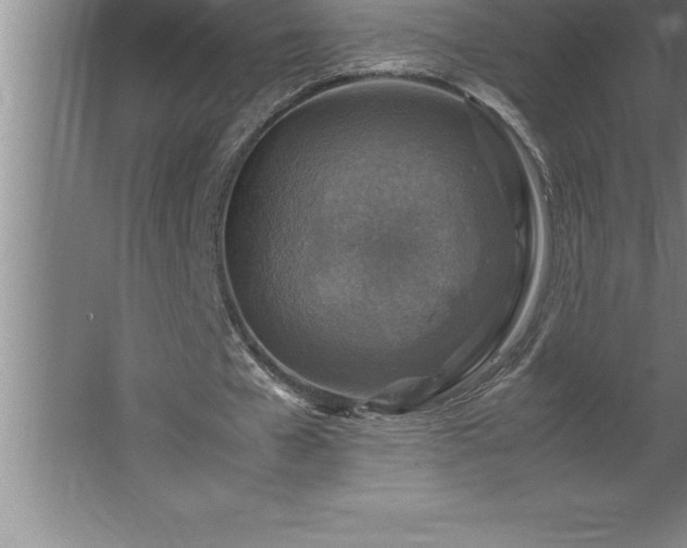 X0000062650577200512281649