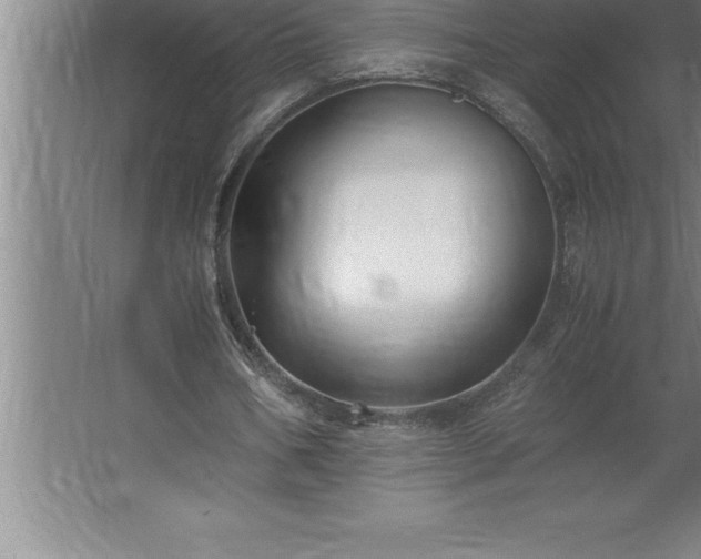 X0000062650578200512281649