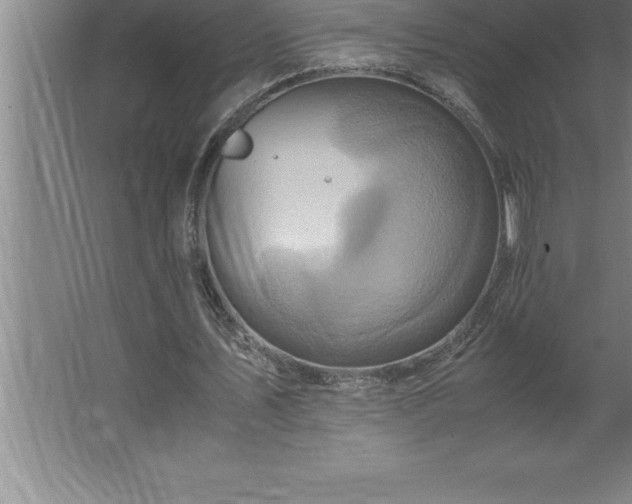 X0000062650579200512281649