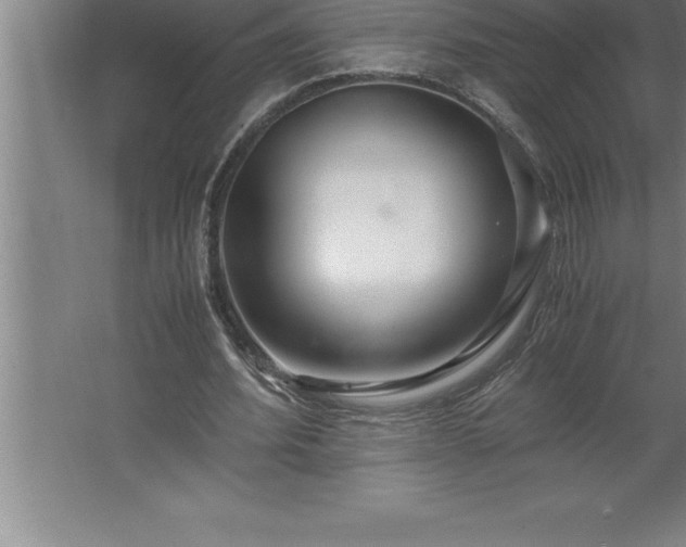 X0000062650580200512281649