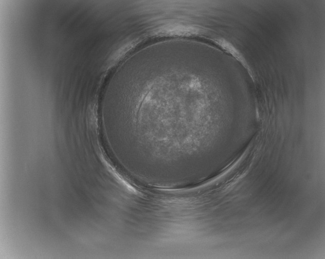 X0000062650581200512281649