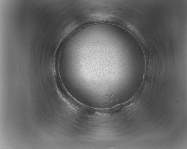 X0000062650582200512281649