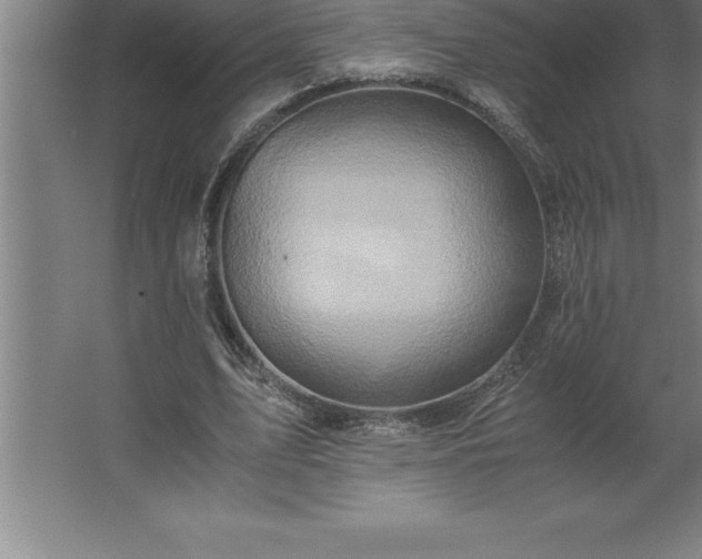 X0000062650583200512281649