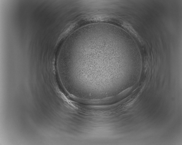 X0000062650585200512281649