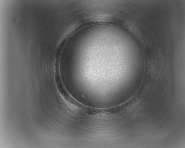 X0000062650586200512281649