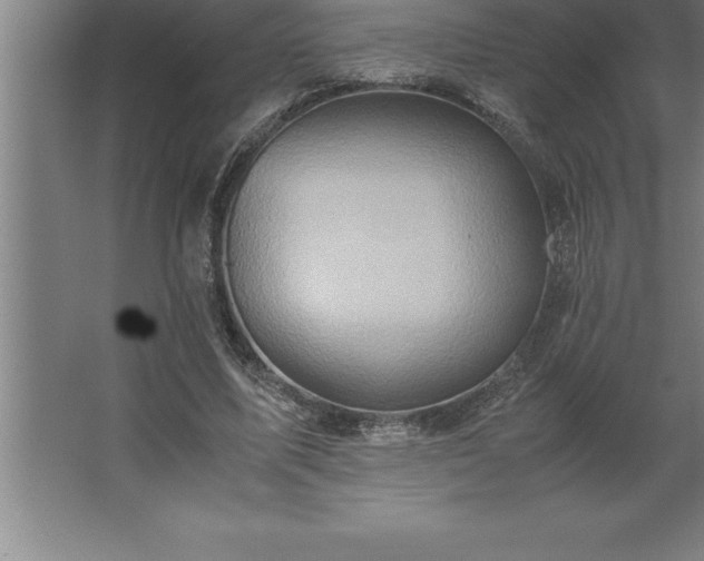 X0000062650587200512281649