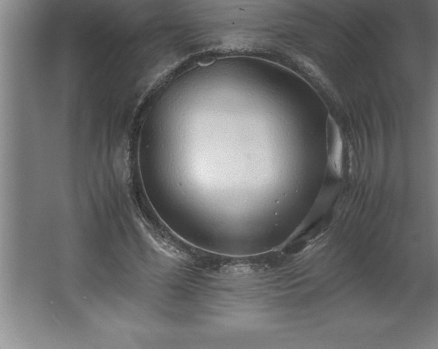 X0000062650588200512281649