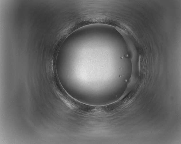 X0000062650589200512281649