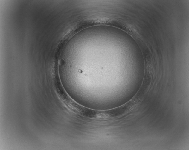 X0000062650591200512281649