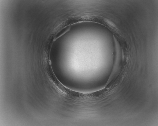 X0000062650593200512281649