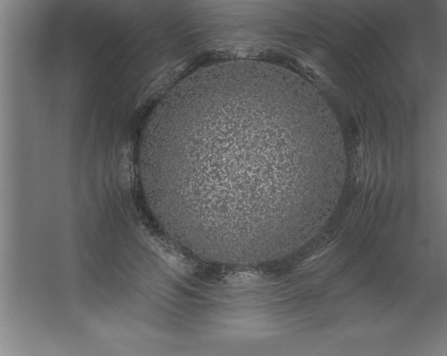 X0000062650594200512281649