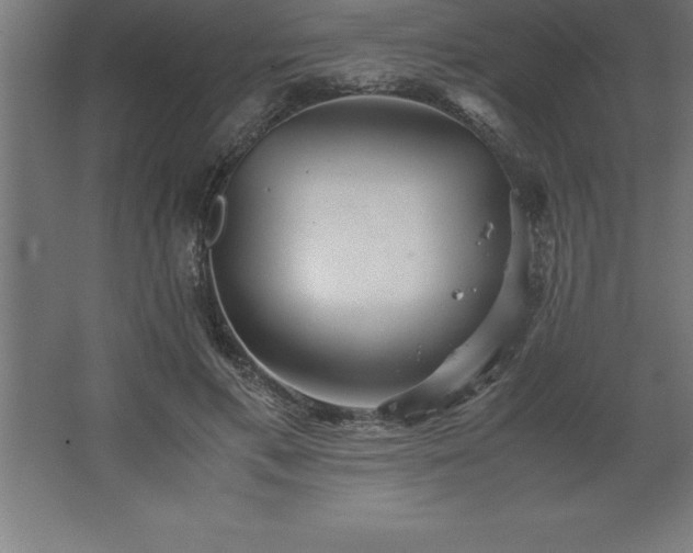 X0000062650597200512281649