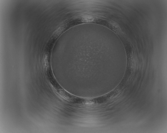 X0000062650598200512281649