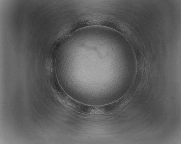 X0000062650599200512281649