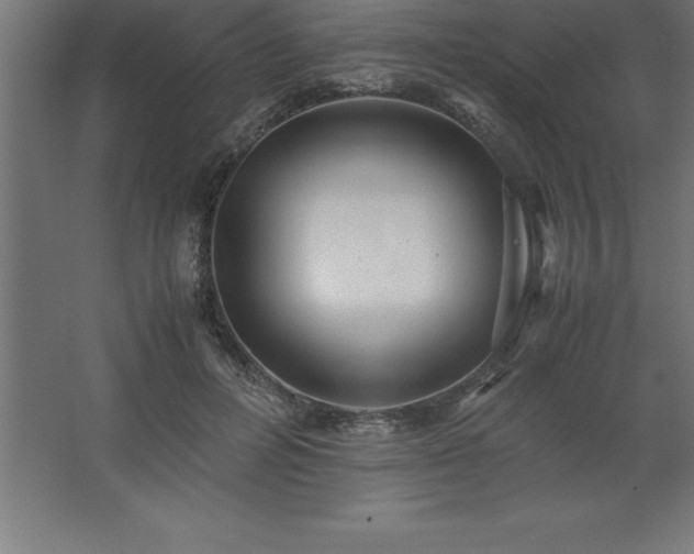 X0000062650600200512281649