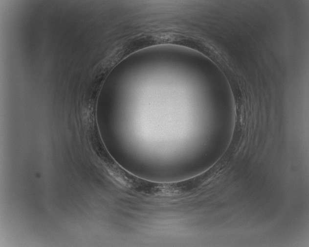 X0000062650601200512281649