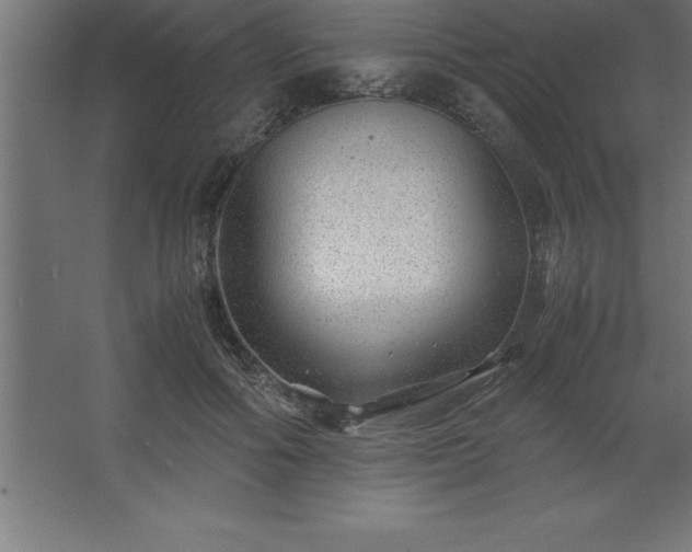 X0000062650602200512281649