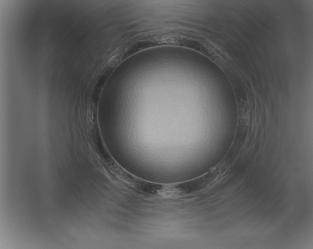 X0000062650603200512281649