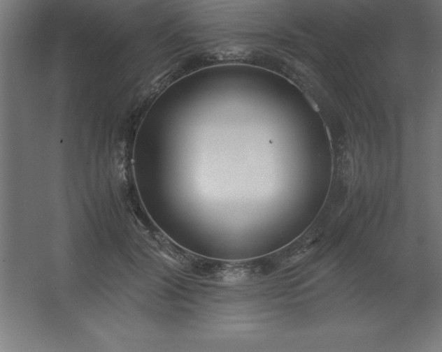 X0000062650604200512281649