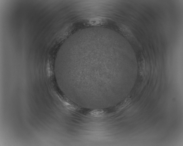 X0000062650606200512281649