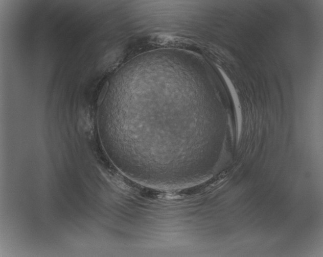 X0000062650607200512281649