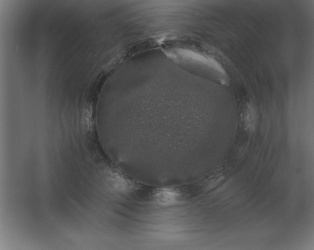 X0000062650610200512281649