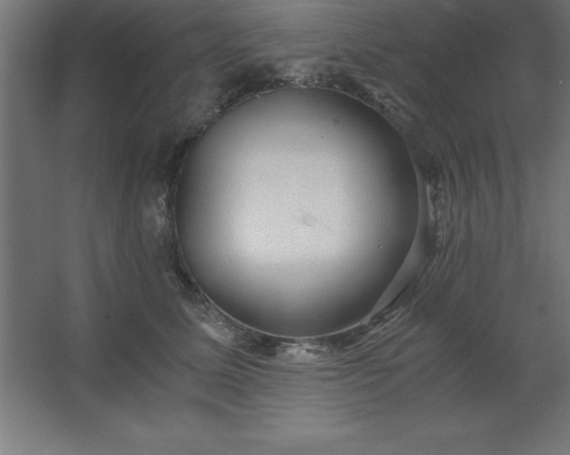 X0000062650611200512281649