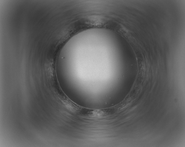 X0000062650612200512281649