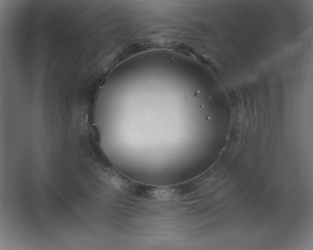 X0000062650615200512281649