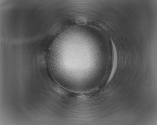 X0000062650616200512281649