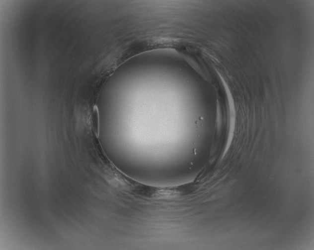 X0000062650617200512281649