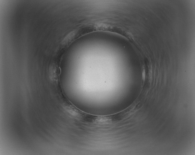 X0000062650619200512281649