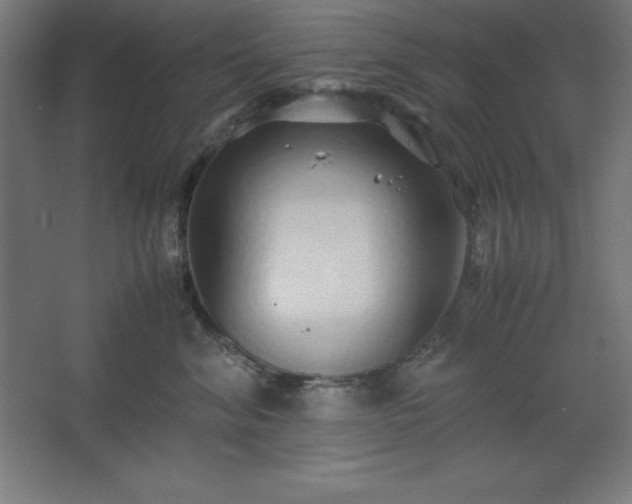 X0000062650620200512281649