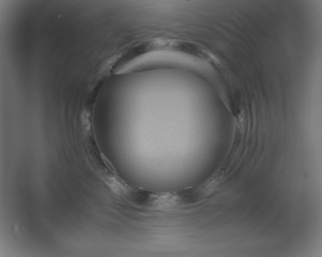 X0000062650621200512281649