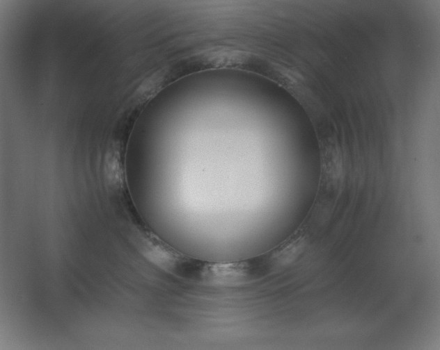 X0000062650622200512281649