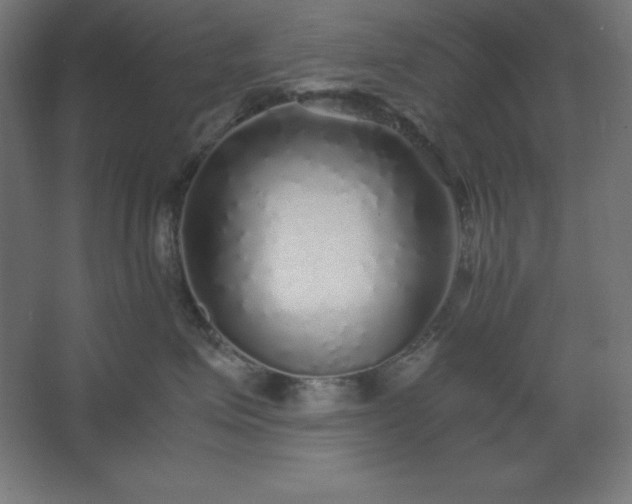 X0000062650623200512281649