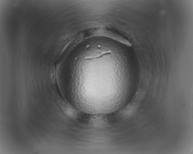 X0000062650624200512281649