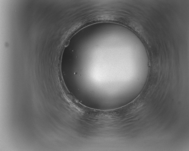 X0000062650625200512281648