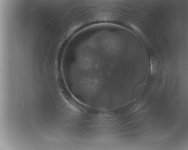 X0000062650627200512281648