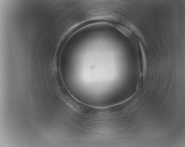 X0000062650628200512281648