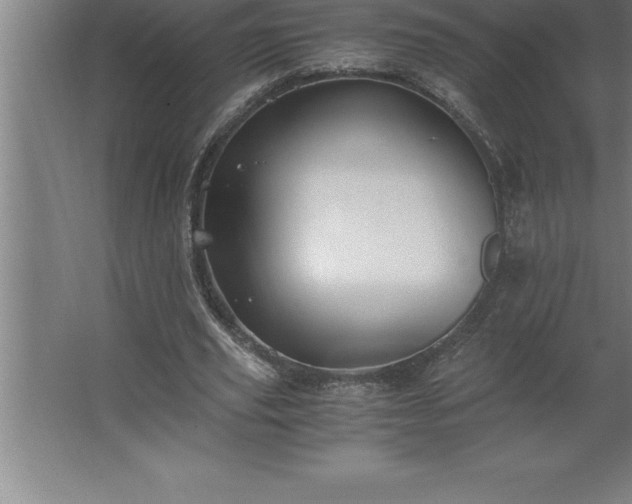 X0000062650629200512281648