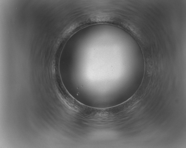 X0000062650631200512281648