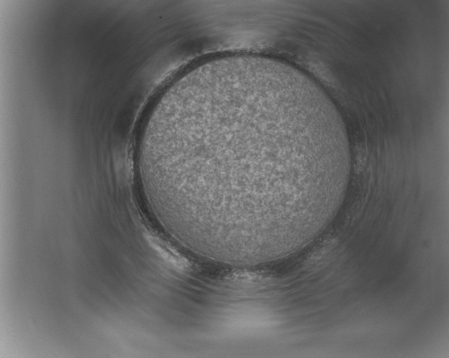 X0000062650632200512281648