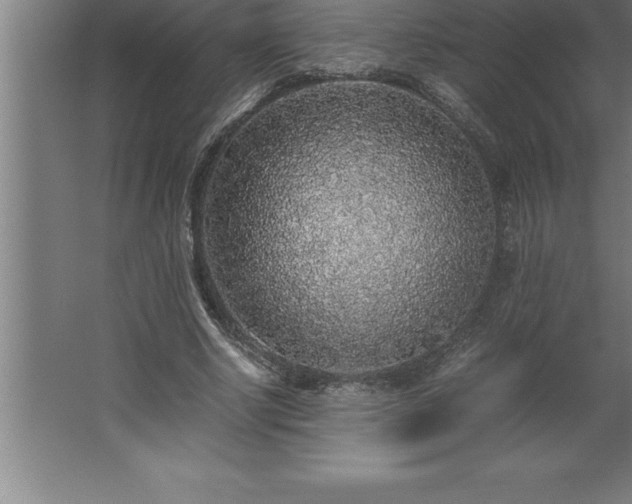 X0000062650634200512281648