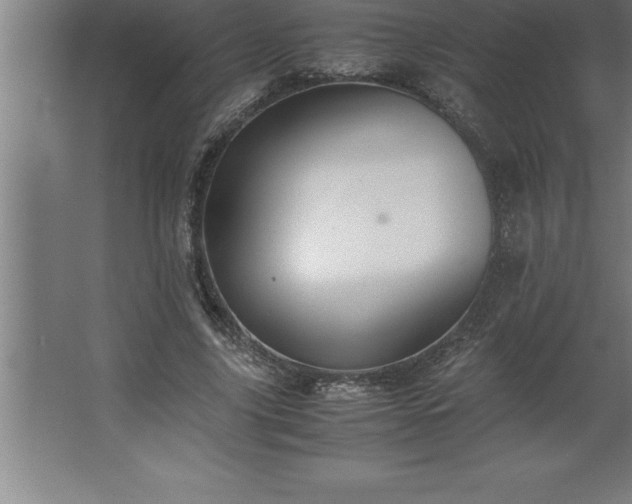 X0000062650635200512281648