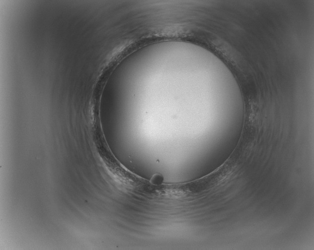 X0000062650636200512281648