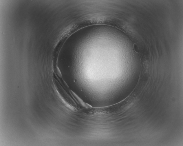 X0000062650638200512281648