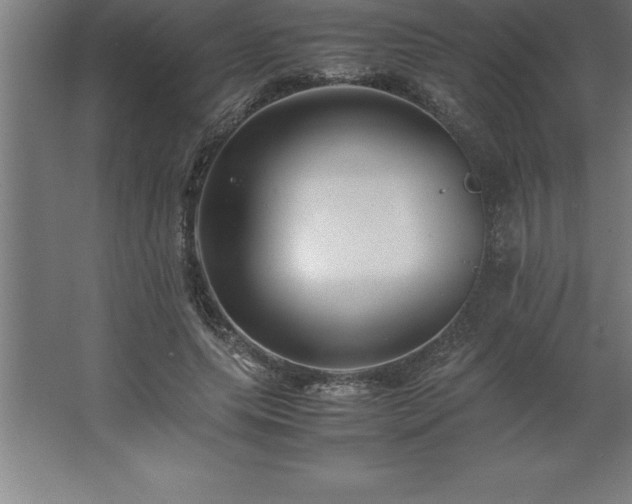 X0000062650639200512281648